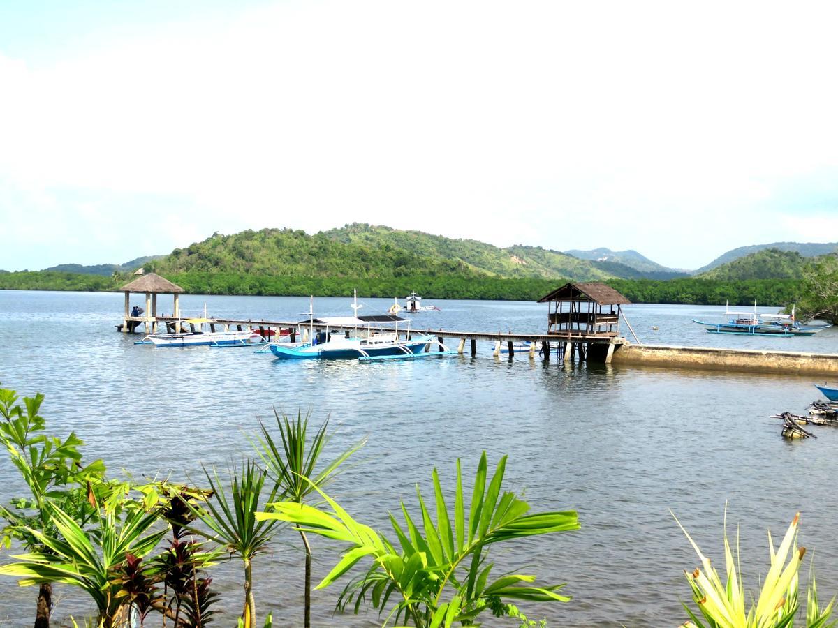 Bella Louise Lodging House Bar And Resto Busuanga Extérieur photo